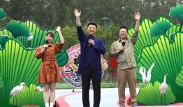 乐清明星爆料视频最新一期,揭秘娱乐圈不为人知的秘密